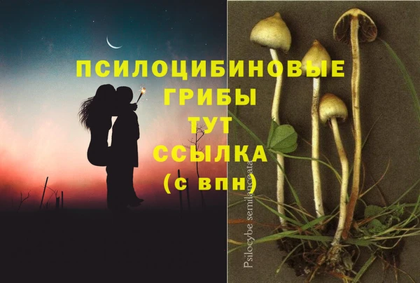 МДМА Каменск-Шахтинский